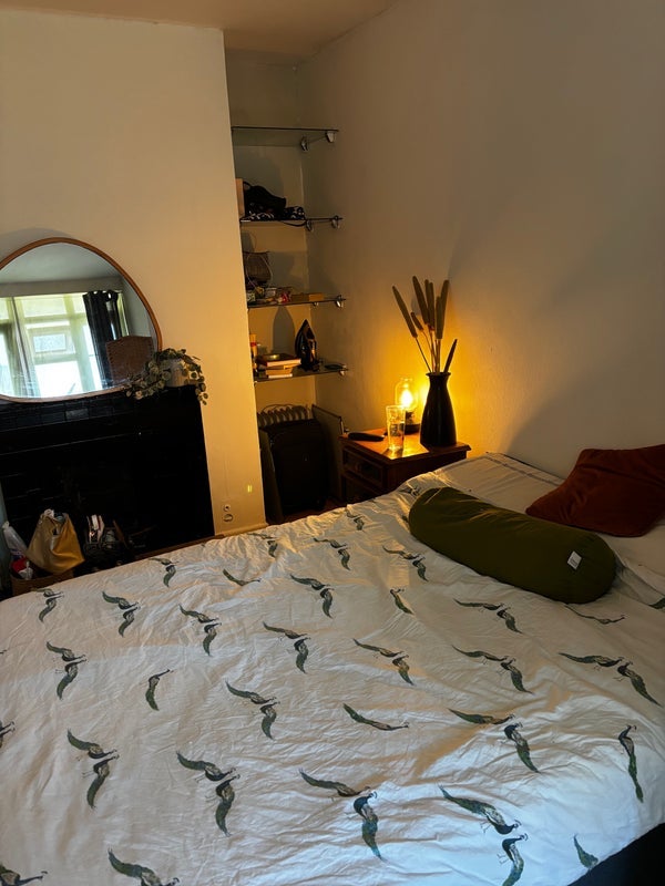 Room Sulgrave Gardens in Greater London