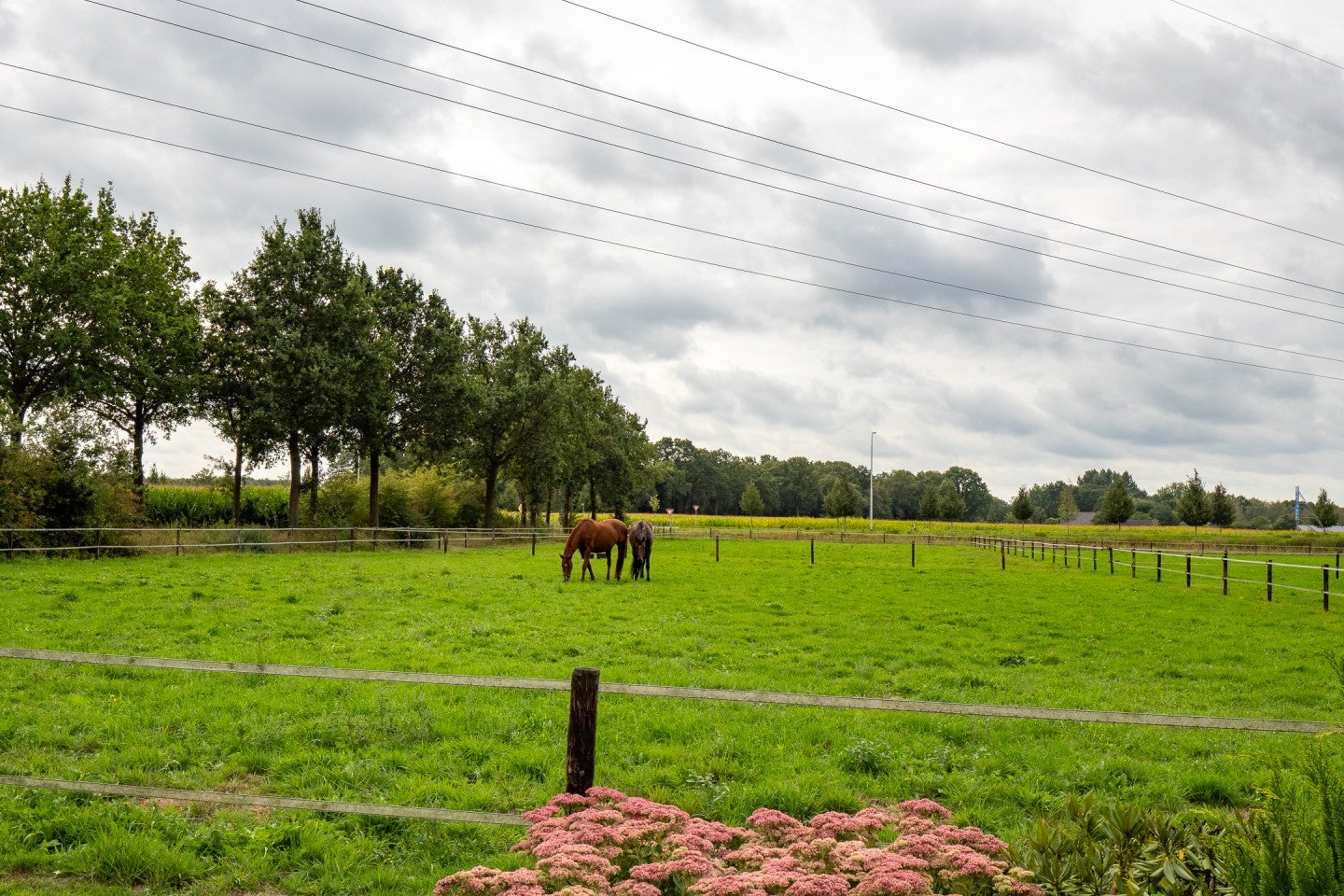 Huis Needseweg 8 in Haaksbergen