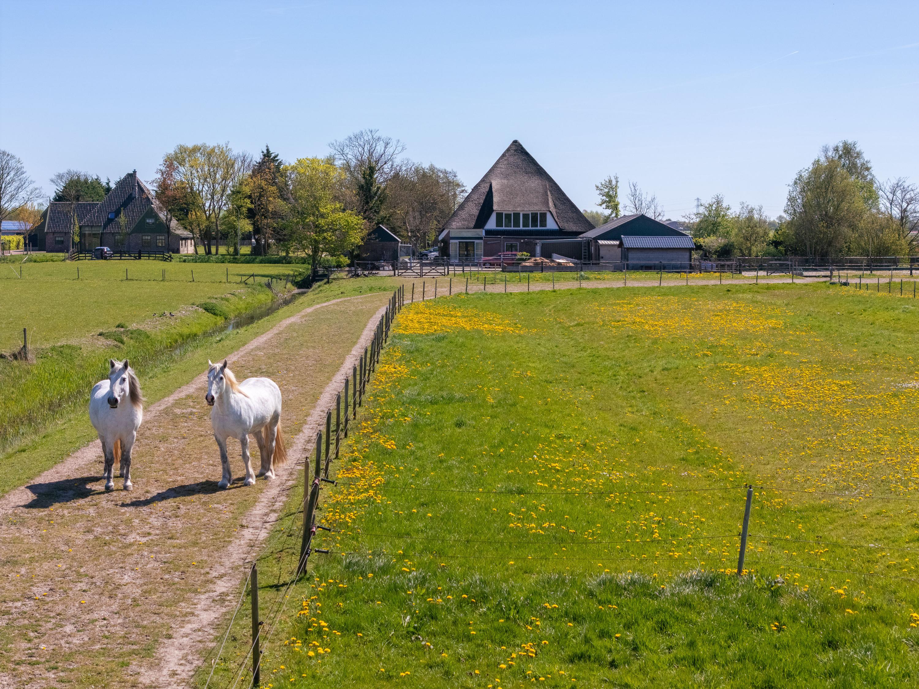 Appartement te koop: Wogmeer 101A, Spierdijk
