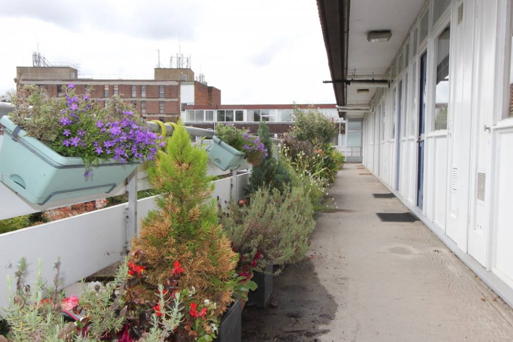 Room Sweet Dew Lane in East Hertfordshire