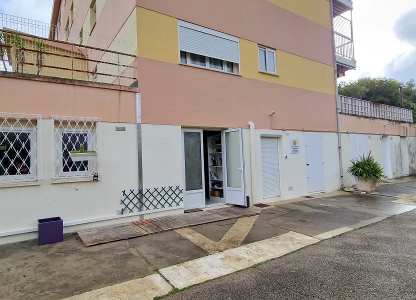 Flat Boulevard des Mimosas in Cannes