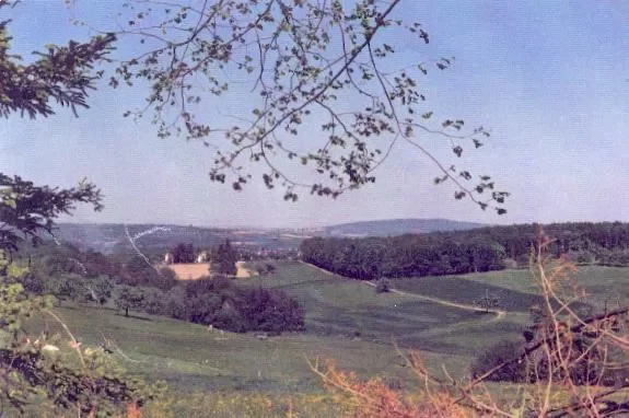 Chambre C 1 à Cosswiller