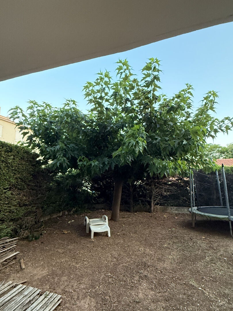 Appartement Impasse des Charmilles à Carqueiranne