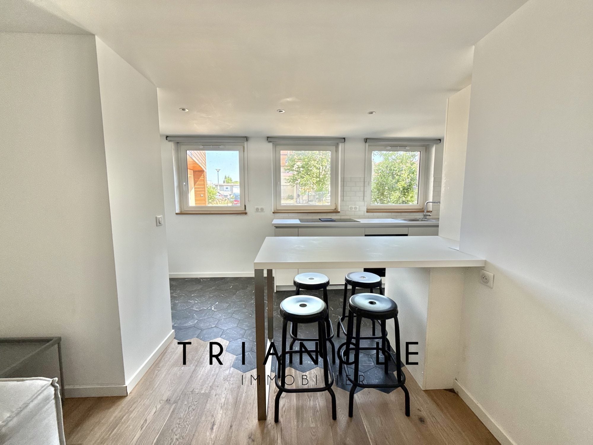 Flat Rue des Linottes in Strasbourg
