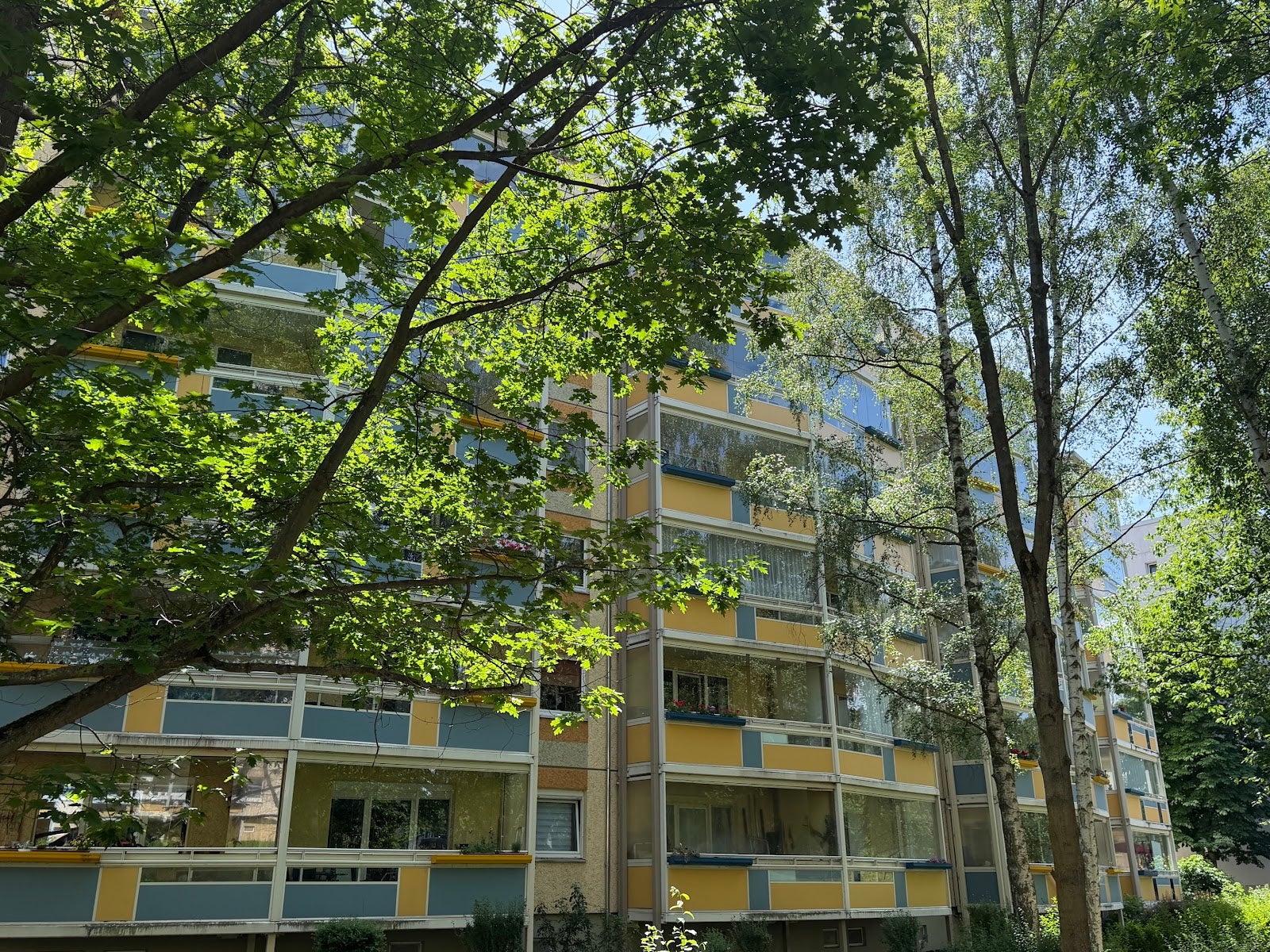 Wohnung Eichenstraße in Gera