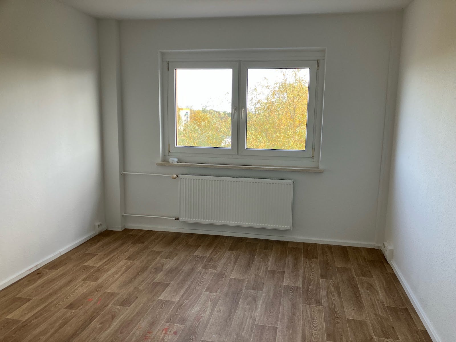 Wohnung Parkstraße in Stralsund