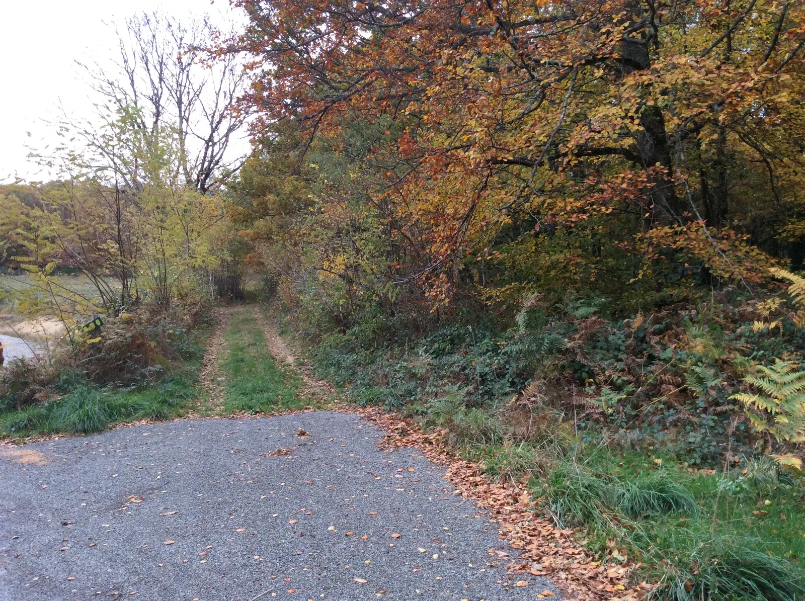Appartement Route de Montimbert à Compreignac