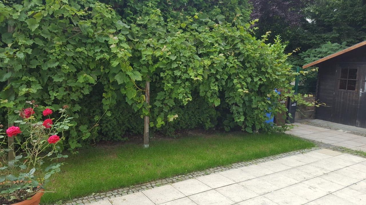 Haus Sandstraße in Leverkusen