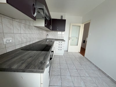 Flat Rue Jean Mentelin in Strasbourg