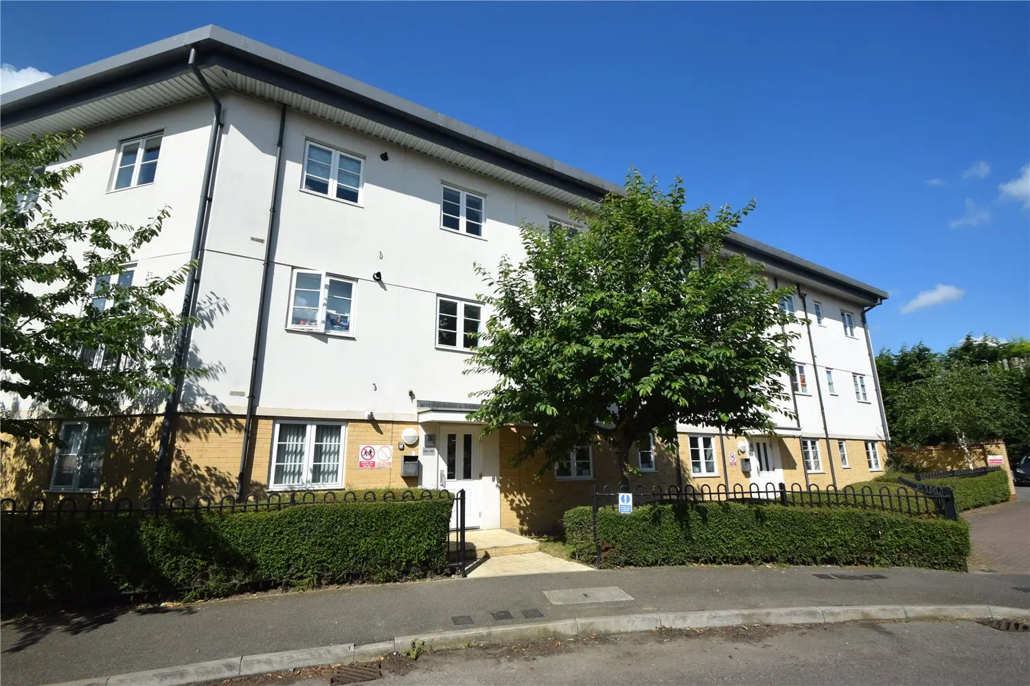 Flat Wood Grove in Braintree