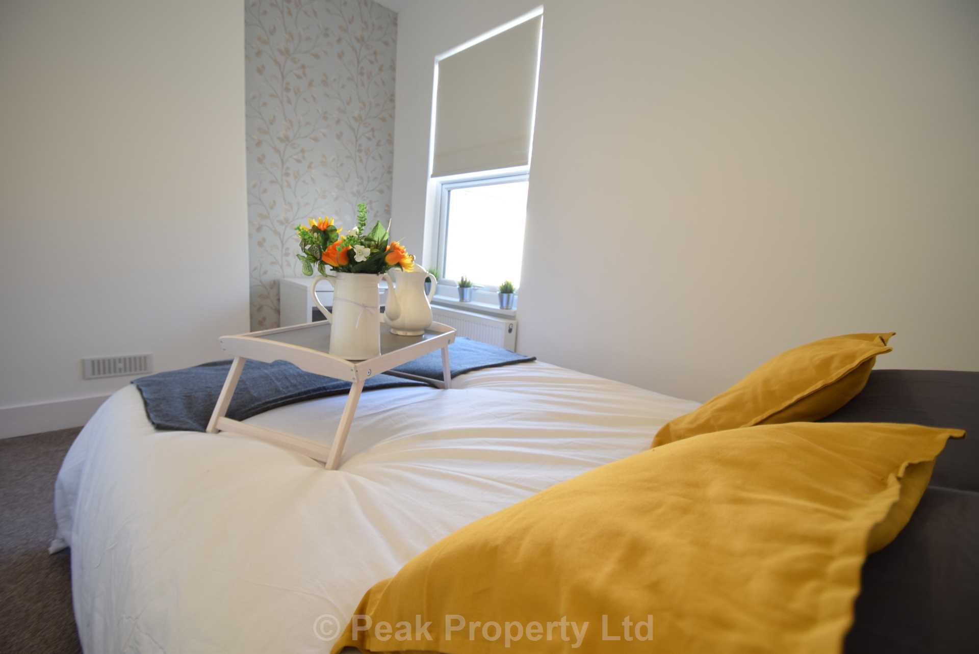 Room Princes Street in Southend-on-Sea