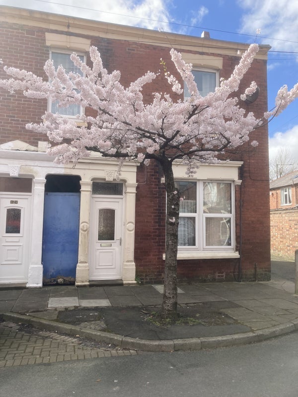 Room Elmsley Street in Preston