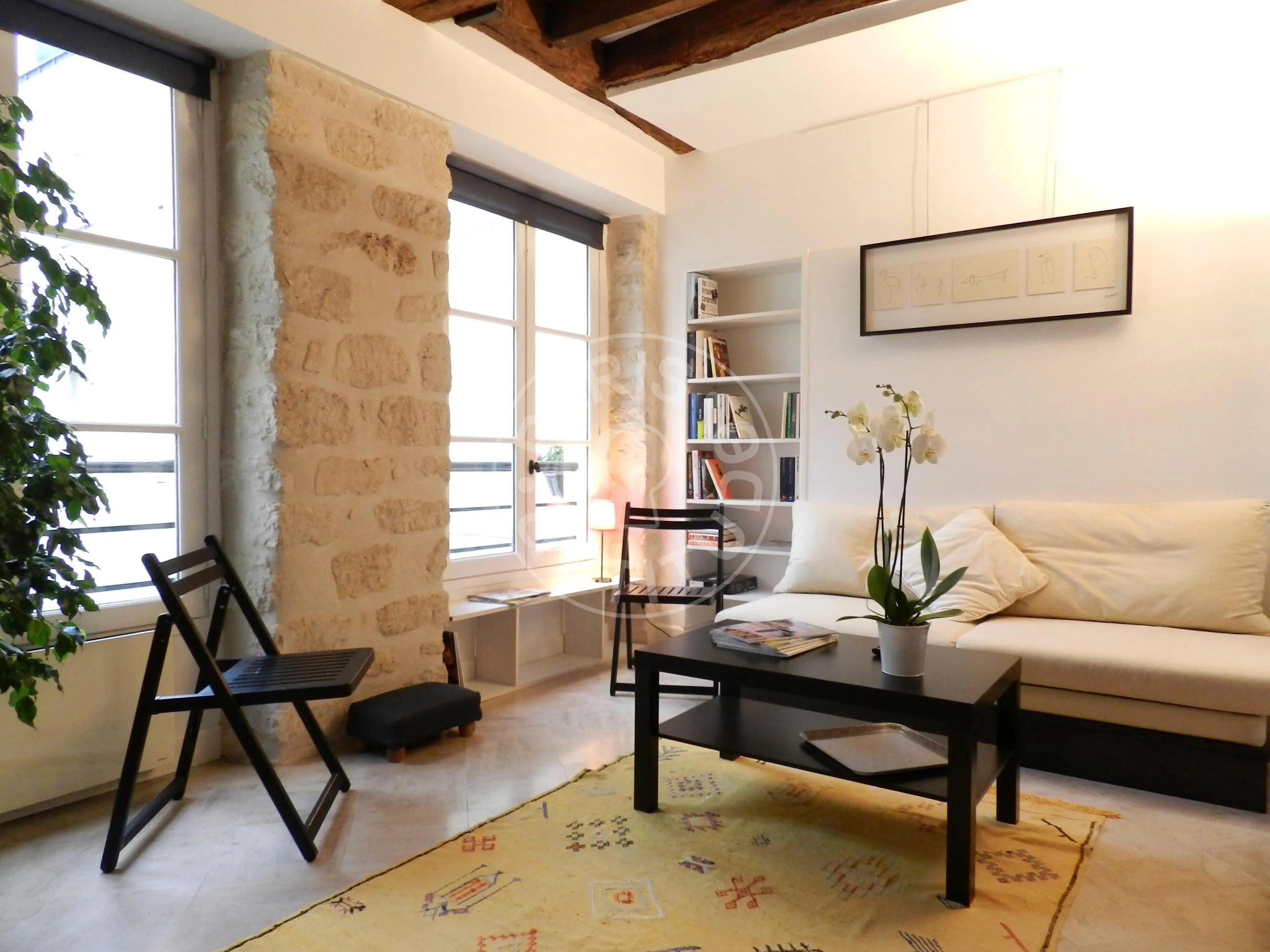 Flat Rue Mayet in Paris