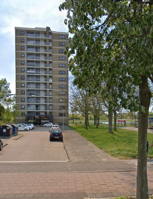 Appartement Leonard Springerlaan 2