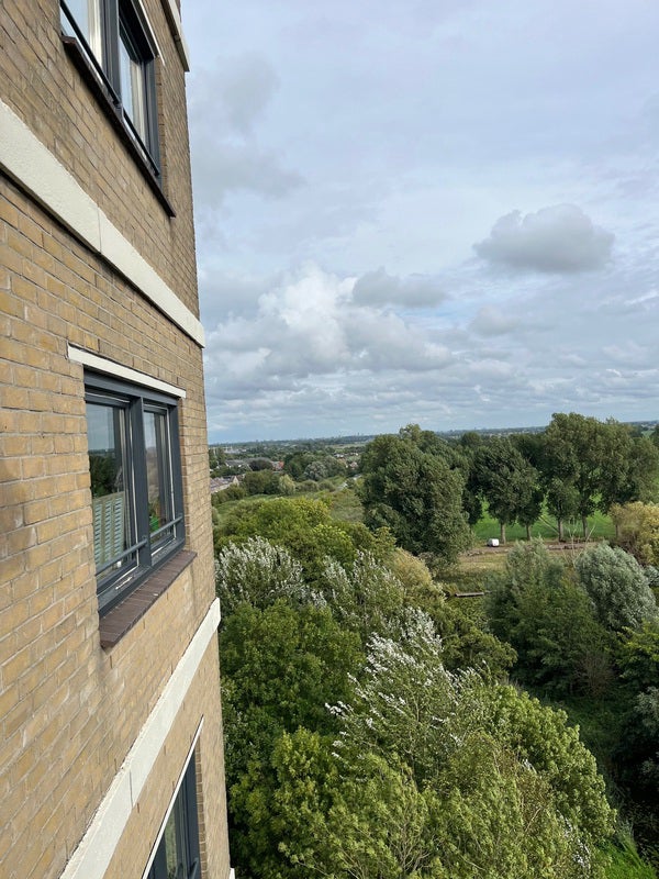 Appartement Leonard Springerlaan 5