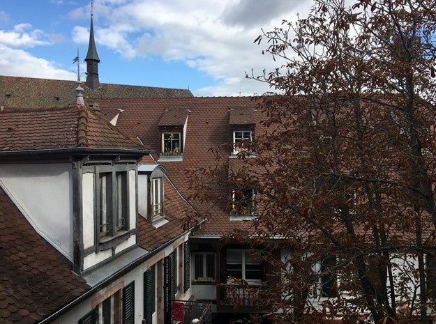 Appartement Cour Waldner-Stephan à Colmar