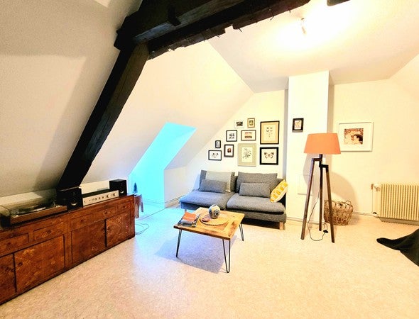 Appartement Cour Waldner-Stephan à Colmar