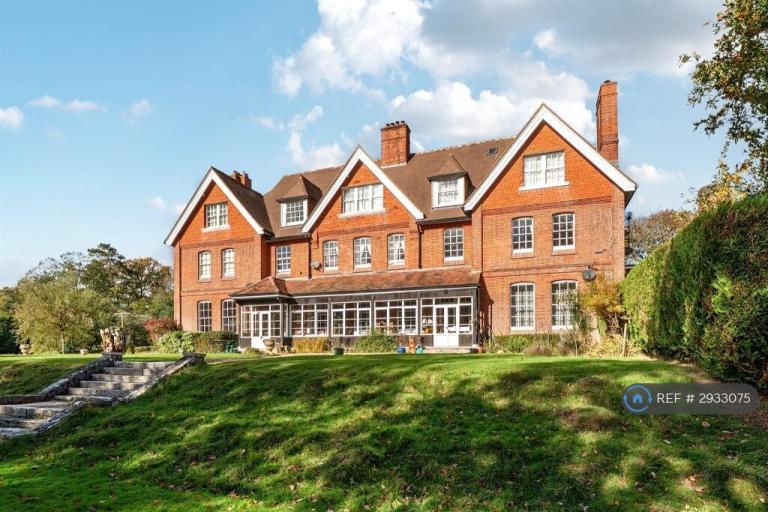 Flat Canterton Lane in New Forest