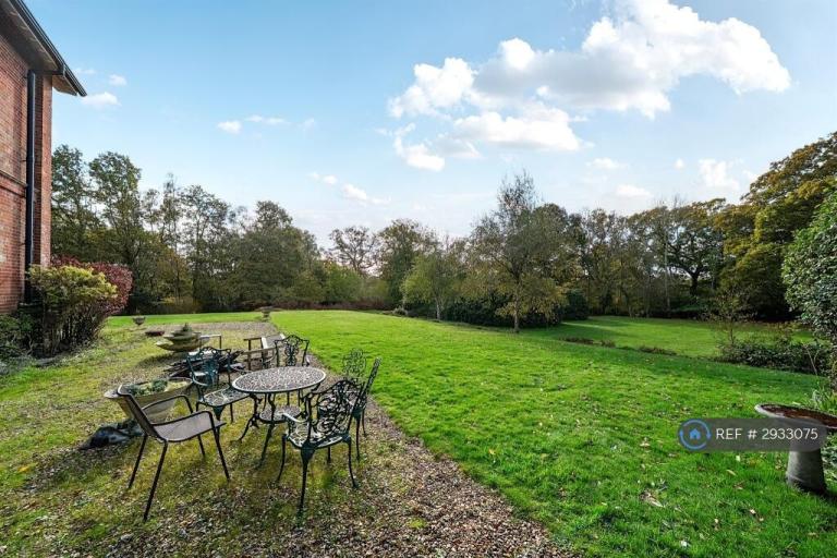 Flat Canterton Lane in New Forest