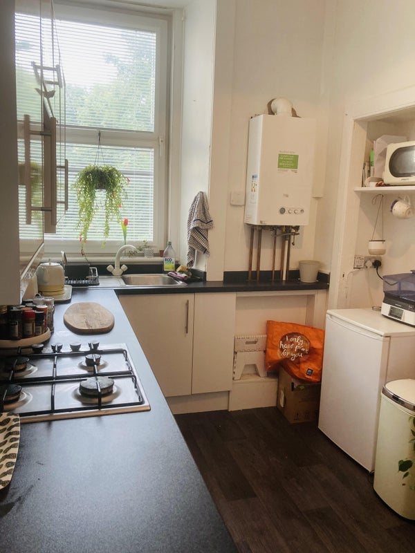 Room Leven Street in City of Edinburgh