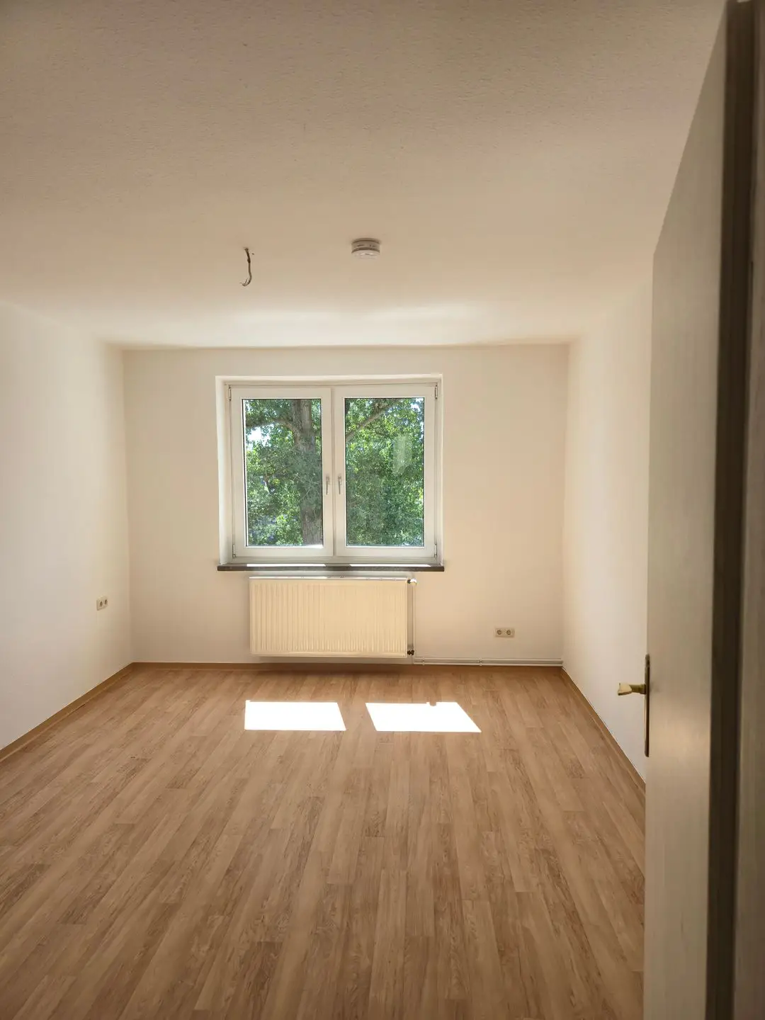 Wohnung Dessauer Straße in Halle (Saale)