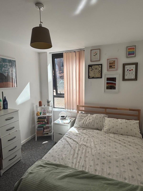 Room Green Lane in Sheffield