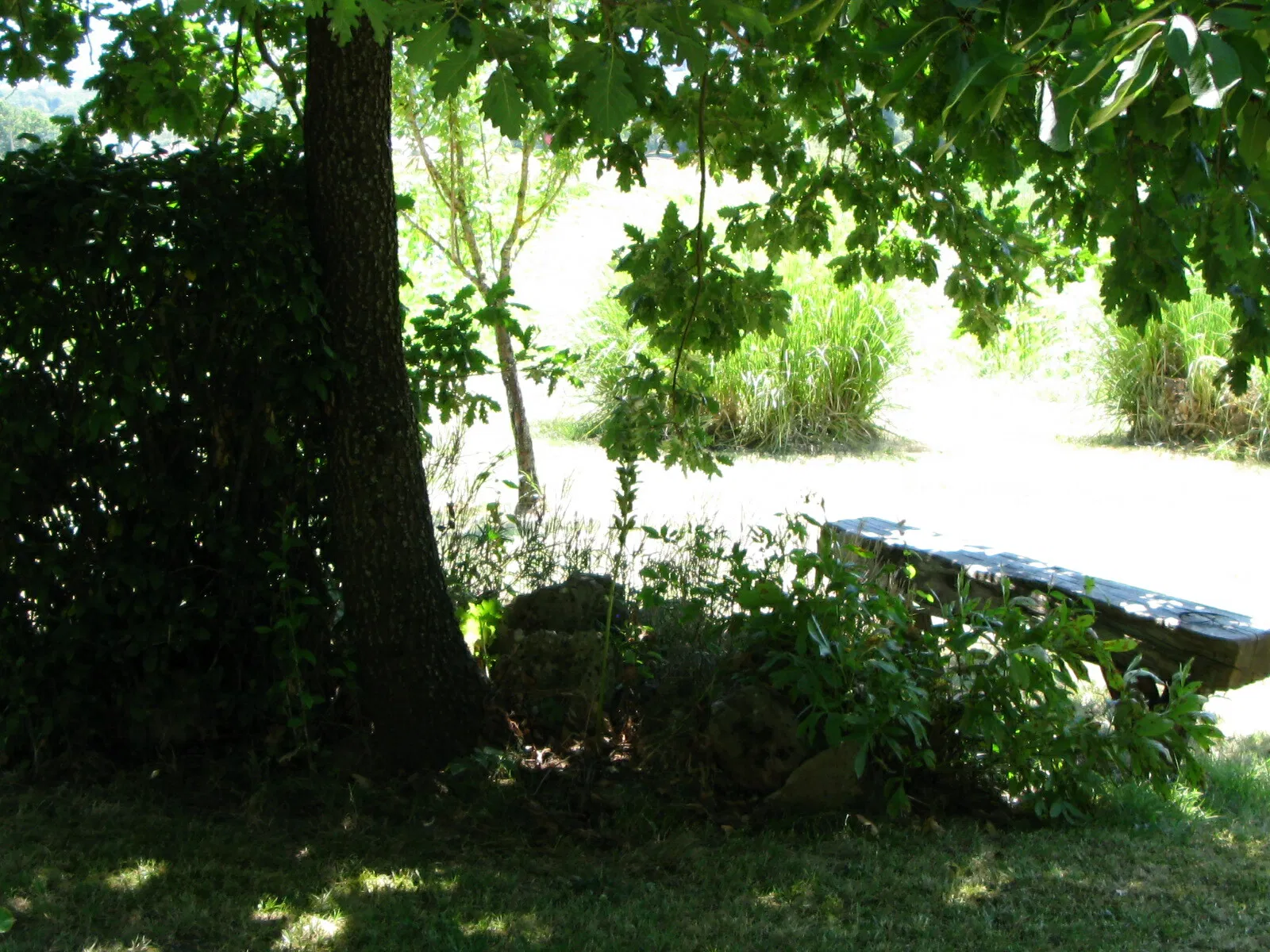 Chambre Chemin de Bois Petit à Trentels