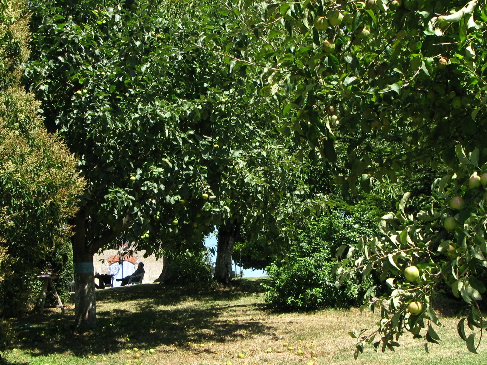 Chambre Chemin de Bois Petit à Trentels