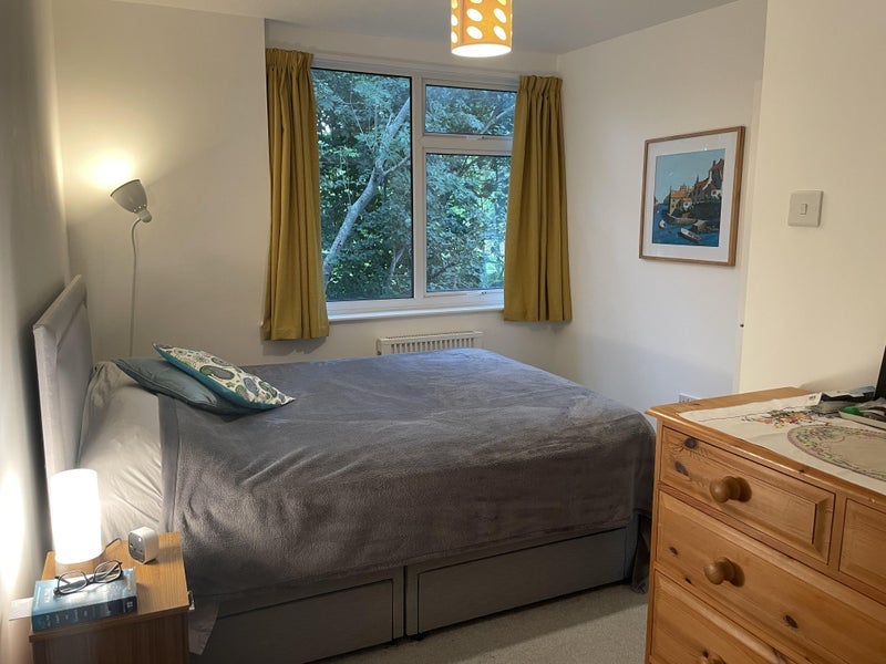 Flat Druid Woods in Bristol