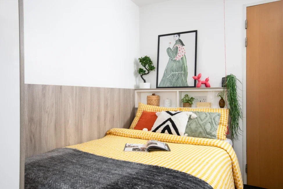 Room Pellett Street in Cardiff
