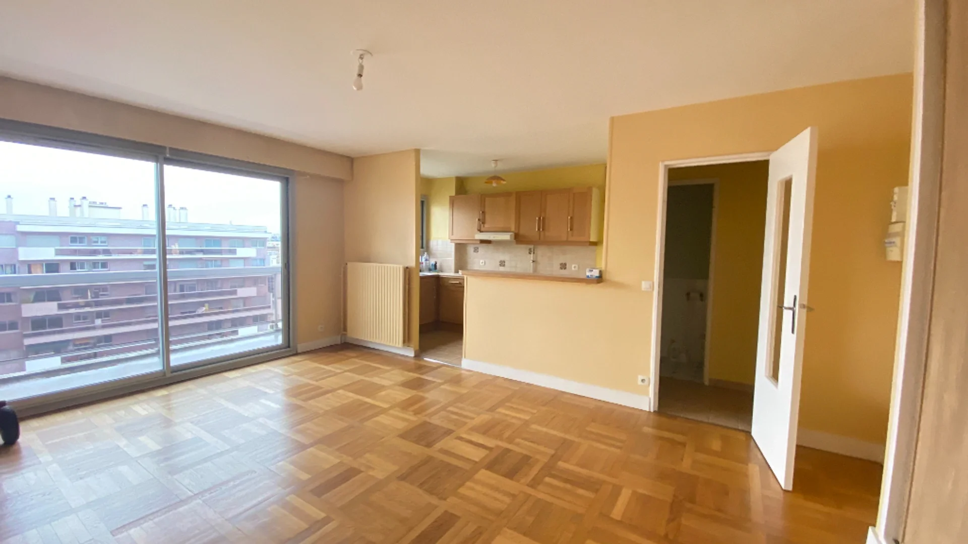 Flat Rue Labrouste in Paris