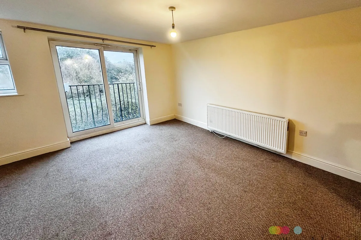 Flat Willow Tree Close in Lincoln