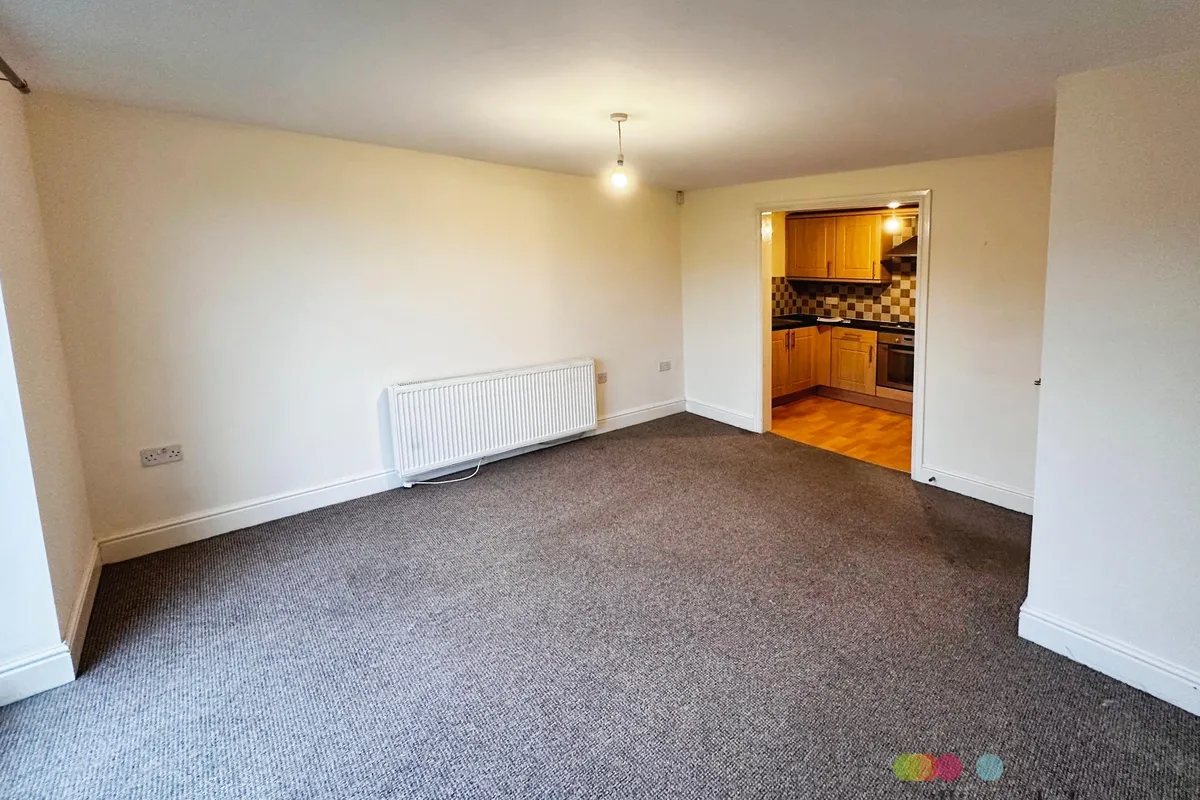 Flat Willow Tree Close in Lincoln