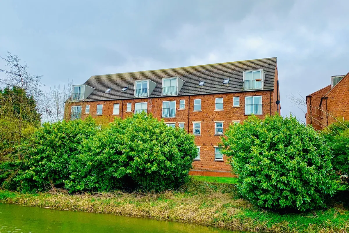 Flat Willow Tree Close in Lincoln