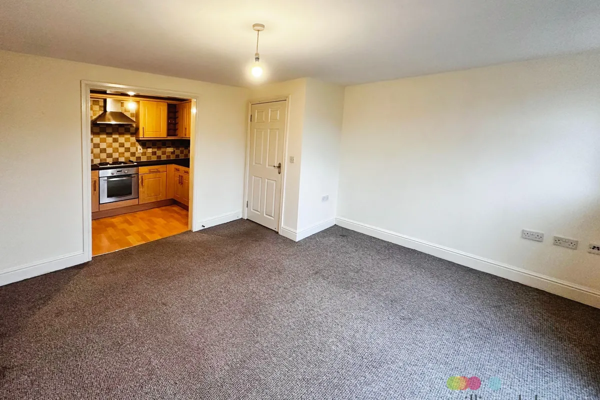 Flat Willow Tree Close in Lincoln