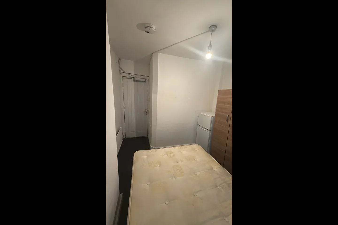 Room Ilex Road in Greater London