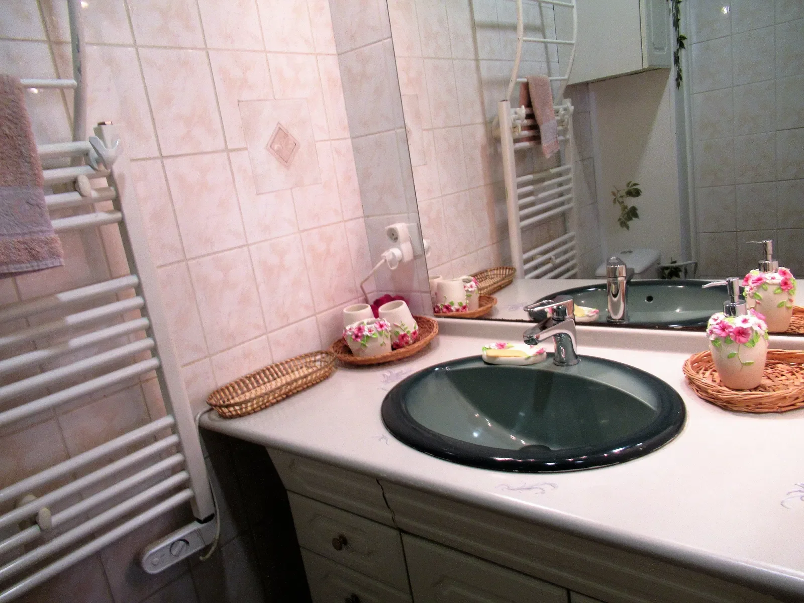 Appartement Allée Nathan Katz à Mulhouse