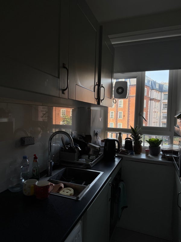 Flat North End Road in Greater London