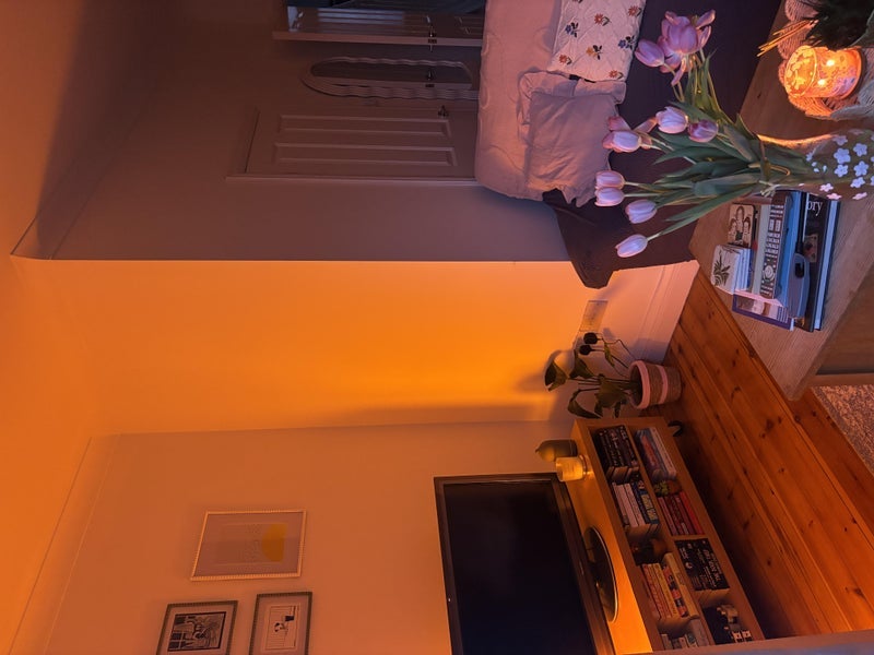 Room Old Oak Street in Manchester