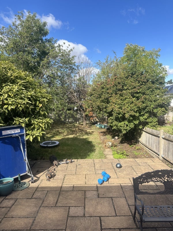 Room Downs Avenue in Greater London