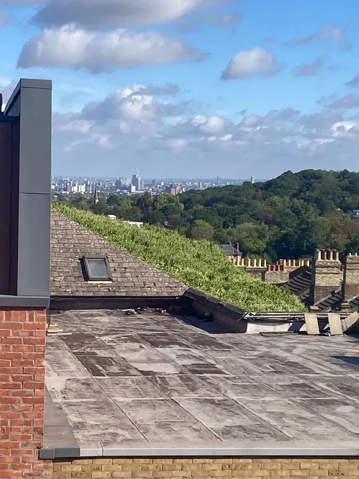 Flat Westow Hill in Greater London