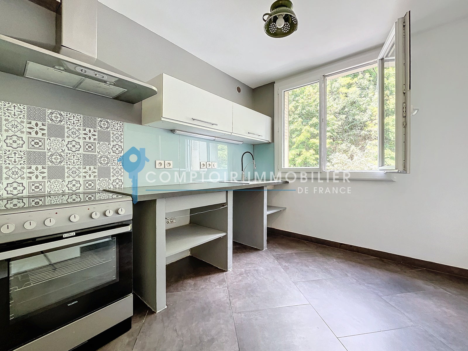 Appartement Avenue Félix Viallet à Grenoble