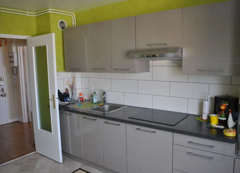Flat Rue du Professeur Jacques Leveuf in Limoges