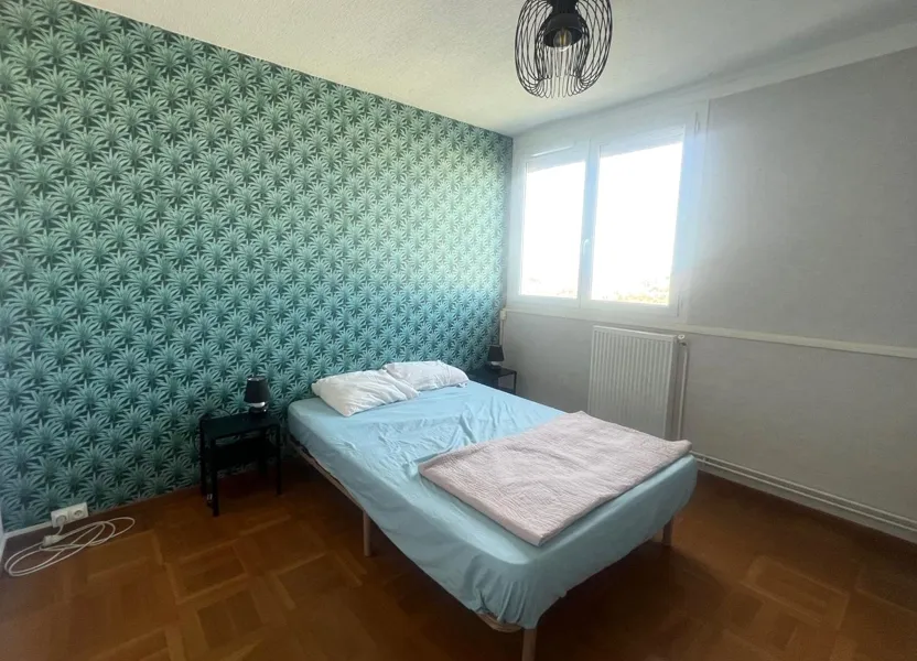 Appartement Boulevard Alexandre de Fraissinette à Saint-Étienne