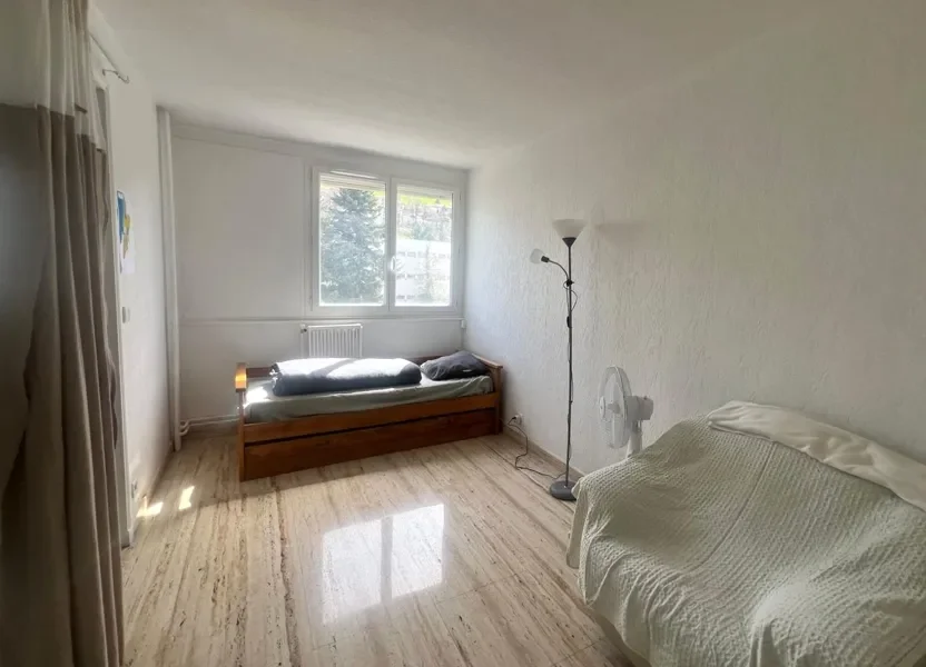 Appartement Boulevard Alexandre de Fraissinette à Saint-Étienne