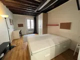 Flat Rue Pierre Leroux in Paris