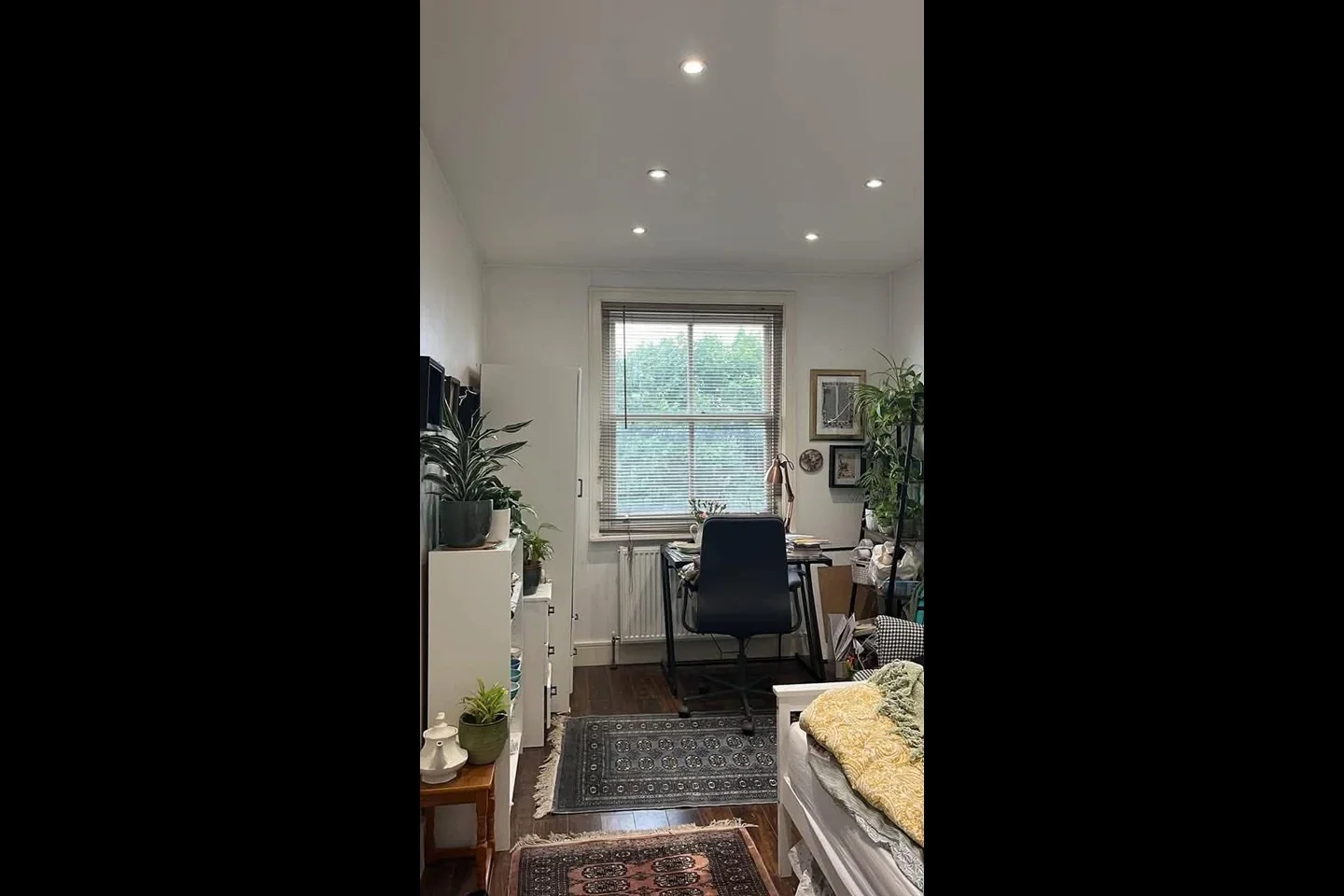 Room Crouch Hill in Greater London