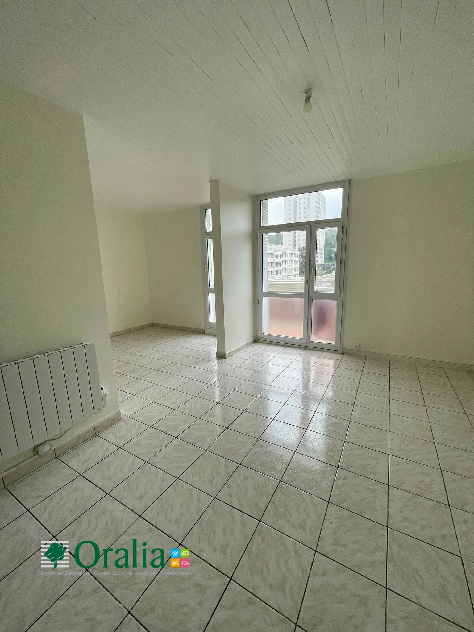 Appartement Avenue Barthélémy Buyer à Lyon