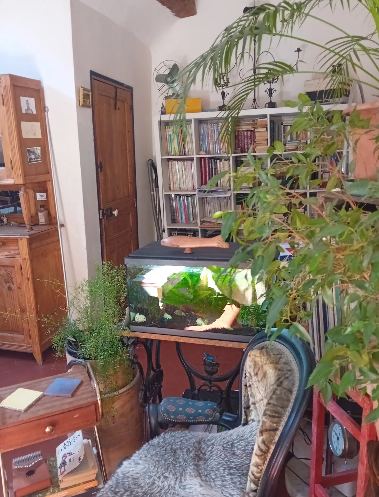 Room Rue Mireille Lauze in Aubagne