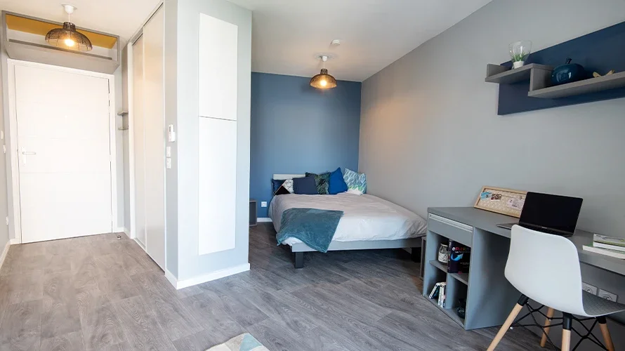 Chambre Rue Béchevelin à Lyon
